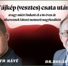 Egy Bogár Naplója - Tájkép (vesztes) csata után