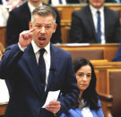 Mint hal a vízben