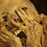 mummyfacepalm-660x330.jpg