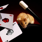 magic00-675x443.jpg