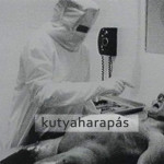 kutyaharapas00-675x443.jpg