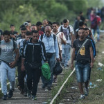 Kvótasokk, törzsi viszonyok és darwini törvények
