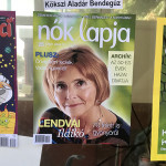 Horrorkoalíciós címlapok