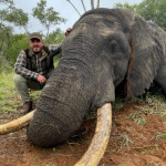 Elefántvadászatokra jár Bige Zalán, a vörösbáró fia