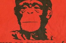 viva-la-evolucion-che-guevara-as-monkey-660x330.jpg