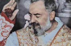 Francesco Castelli: Vizsgálat Pio atya ügyében – Vatikáni titkos akták 