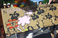 Buzulógusok