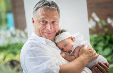 Orbán az apa, Karácsony a pulya...