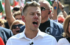 Újabb részletek buktak ki Magyar Péter tüntetésének hátteréről