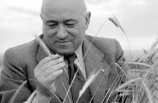 Pilhál György: Farkasréti kolonc 