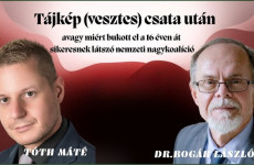 Egy Bogár Naplója - Tájkép (vesztes) csata után