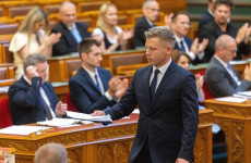Kutyaszorítóban