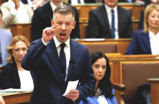 Mint hal a vízben Mint hal a vízben