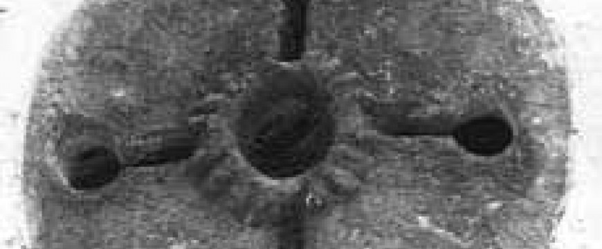 cf1fdb91bc1eaa87ad183418cf29fa06.jpg