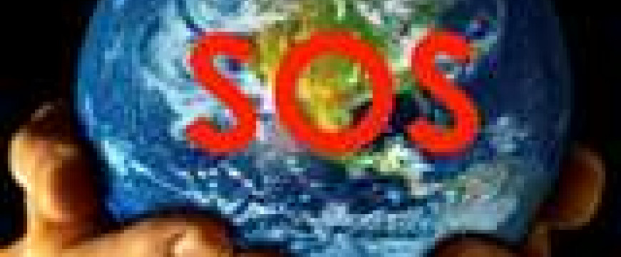 cc4f0f5548060cda6ddd98437ec391fd.jpg