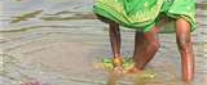 809847af48e369e6915cf6548960318d.jpg 809847af48e369e6915cf6548960318d.jpg