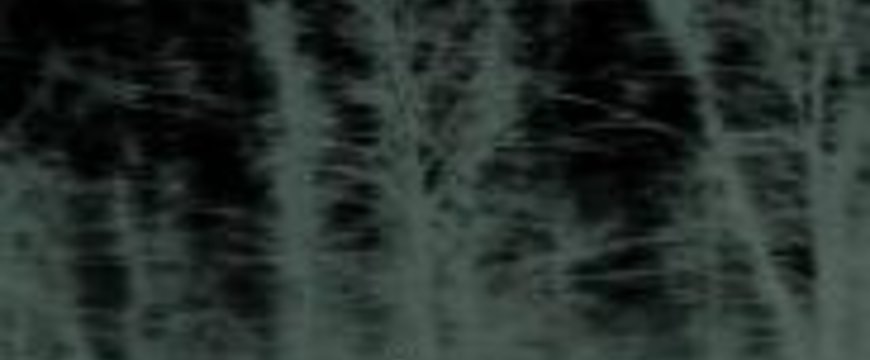 6aeffd0e18a4e85694a7686c637e8c64.jpg
