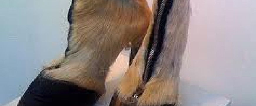 4b01fab66d98a57998752759bae607dd.jpg