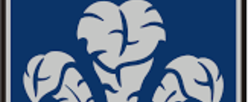 cfa575bf96a962dfe1cf0ee5f7779d6a.png