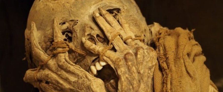 mummyfacepalm-660x330.jpg