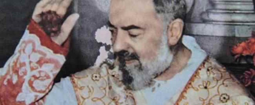 Francesco Castelli: Vizsgálat Pio atya ügyében – Vatikáni titkos akták 