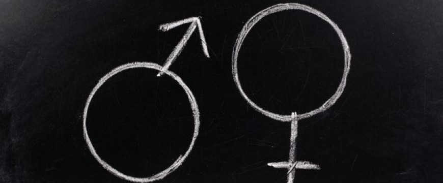 A CEU nem egyetem, a gender-elmélet nem tudomány A CEU nem egyetem, a gender-elmélet nem tudomány