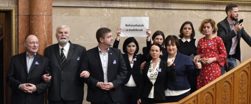 Önmegvalósító pancser politikus nők