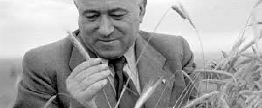 Pilhál György: Farkasréti kolonc 