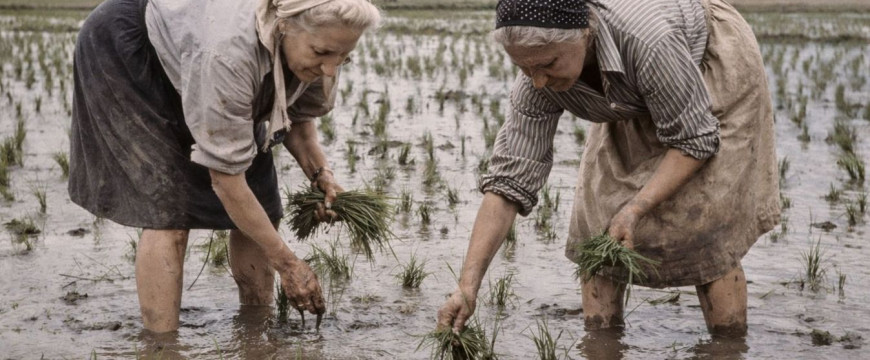 Claire Kenneth és Bethlen Margit a kitelepítésben