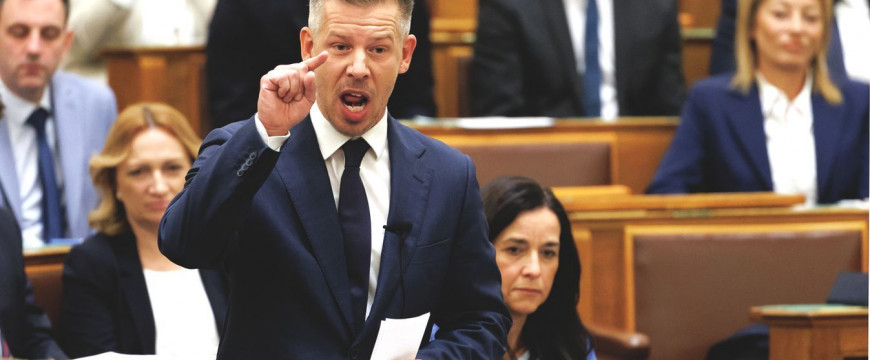 Mint hal a vízben Mint hal a vízben